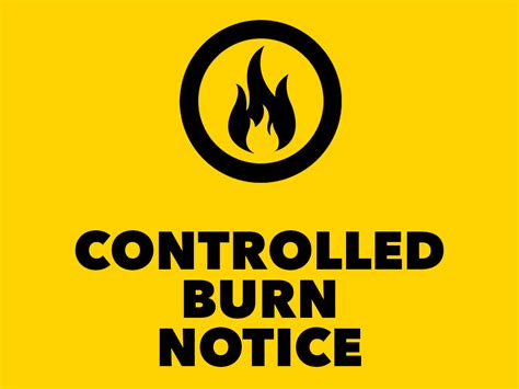 sockshare burn notice|Burn Notice .